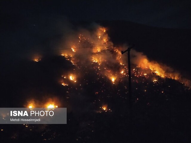 شعله های آتش به جان جنگلهای آستارا افتاد