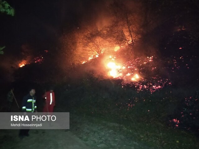 شعله های آتش به جان جنگلهای آستارا افتاد
