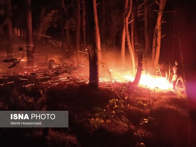 شعله های آتش به جان جنگلهای آستارا افتاد