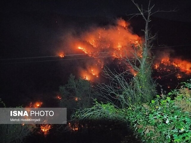 شعله های آتش به جان جنگلهای آستارا افتاد