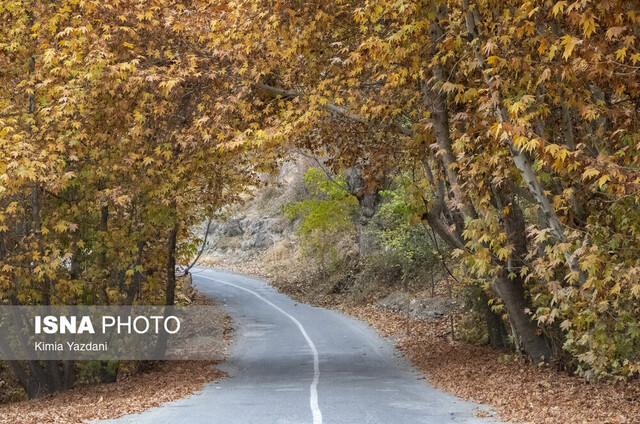 طبیعت پاییزی شهرستان سامان