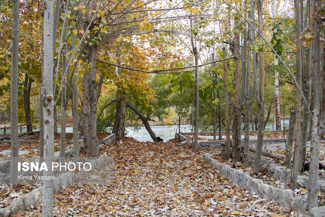 طبیعت پاییزی شهرستان سامان