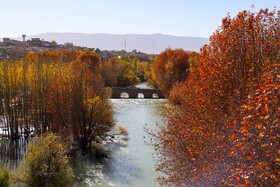 شهر باغ بهادران 