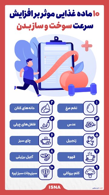 اینفوگرافیک/ ۱۰ ماده غذایی موثر بر افزایش سرعت سوخت و ساز بدن