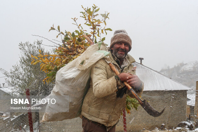 چشم مازندرانیها به برف روشن شد