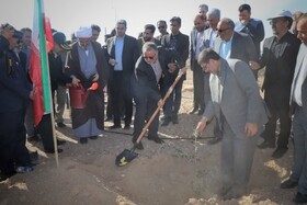کاشت نهال‌های طرح یک میلیارد درخت در استان سمنان آغاز شد