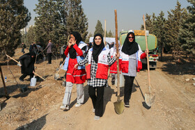 مراسم آغاز طرح سراسری کاشت یک میلیارد درخت- تهران