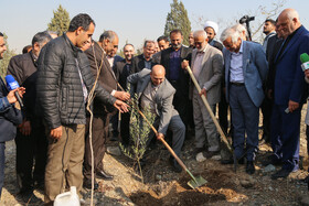حضور محمد علی نیکبخت، وزیر جهاد کشاورزی در مراسم آغاز رسمی کاشت یک میلیارد اصله نهال در استان تهران