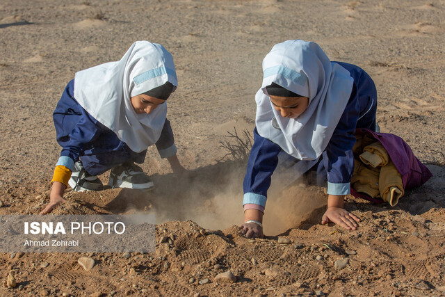 بهره‌مندی از ظرفیت دانش آموزان برای کاشت یک میلیارد درخت در مازندران