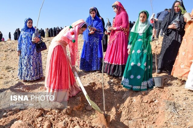 آغاز اجرای طرح کاشت ۱۰ میلیون درخت در چهارمحال و بختیاری