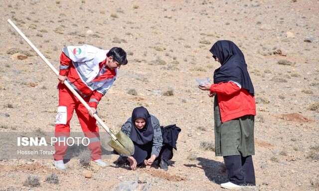 آغاز اجرای طرح کاشت ۱۰ میلیون درخت در چهارمحال و بختیاری