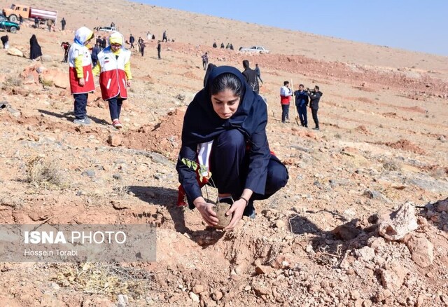 آغاز اجرای طرح کاشت ۱۰ میلیون درخت در چهارمحال و بختیاری