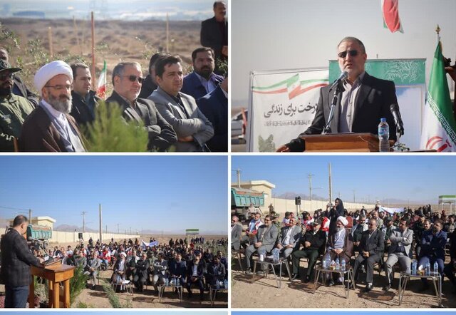 کاشت نهالهای طرح یک میلیارد درخت در استان سمنان آغاز شد