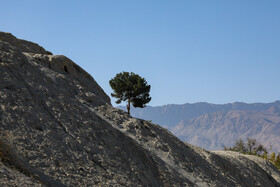 در کاوشهای اخیر تپهی تاریخی سیلک، محوطهای کشف شد که نشان میدهد در آن فعالیت برای انجام ذوب فلزات صورت میگرفته است.