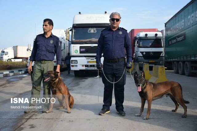 وجود سگهای موادیاب، عامل بازدارنده قاچاق در گمرک آستارا