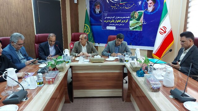 تایید مشاهده آفت کرم برگخوار در مزارع ذرت و گندم "ایرانشهر" و "بمپور" تایید مشاهده آفت کرم برگخوار در مزارع ذرت و گندم "ایرانشهر" و "بمپور"