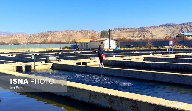 بازدید خبرنگاران، دانشجویان نخبه و بازنشستگان از ۵ طرح تولیدی و صنعتی یاسوج