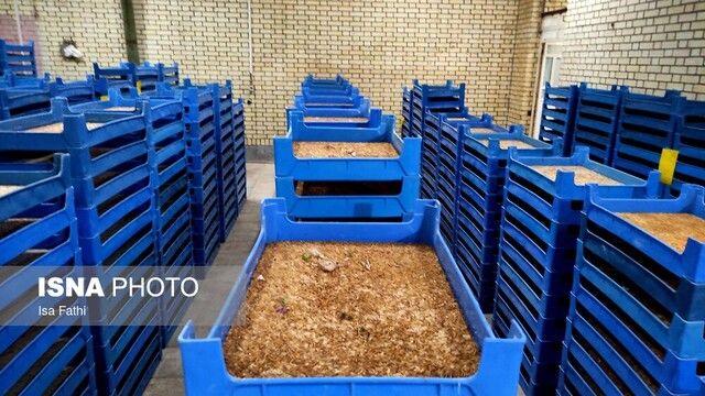 بازدید خبرنگاران، دانشجویان نخبه و بازنشستگان از ۵ طرح تولیدی و صنعتی یاسوج