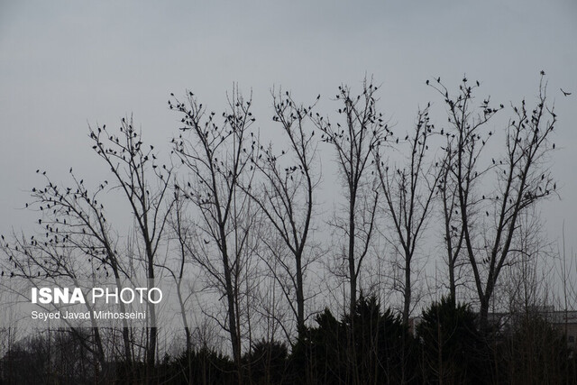 وقتی آفتاب بر عینک و ماهی ها می تابد