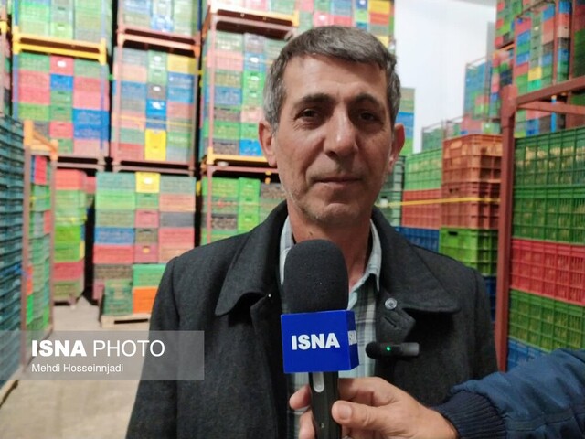 آستارا و تالش پیشرو در صادرات محصول استراتژیک کیوی