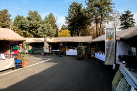 نمایشگاه سرمایه انسانی ارتش