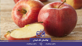 انواع نهال سیب پیوندی و اصلاح شده بهمراه نکات کاشت و پرورش