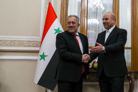 دیدار نخست وزیر سوریه با رییس مجلس شورای اسلامی