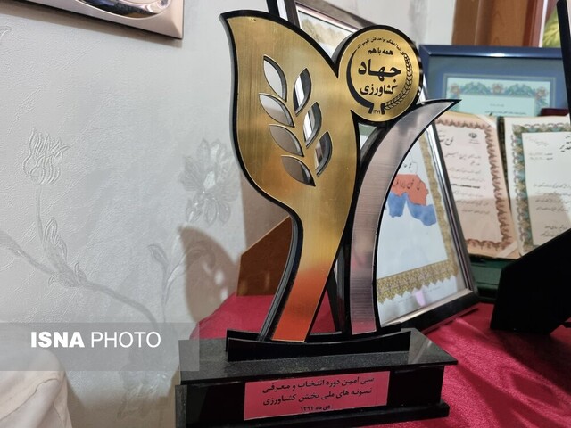 گذری در باغ پرشیا و خاطرات نماینده بخش خصوصی ایران در شورای جهانی زیتون