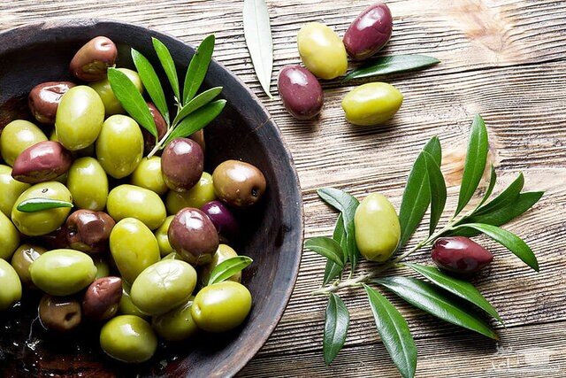 گذری در باغ پرشیا و خاطرات نماینده بخش خصوصی ایران در شورای جهانی زیتون