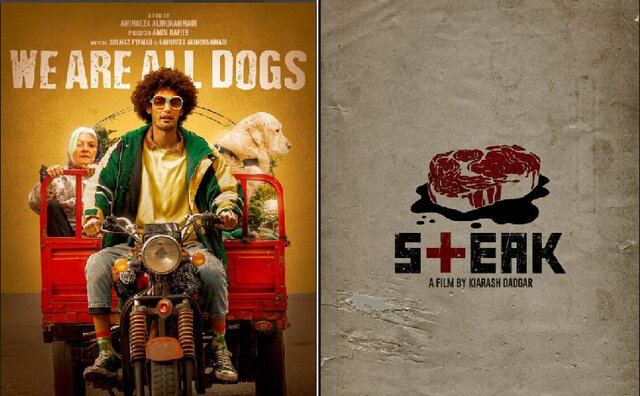 ۲ فیلم ایرانی در جشنواره مورد تایید اسکار ۲ فیلم ایرانی در جشنواره مورد تایید اسکار