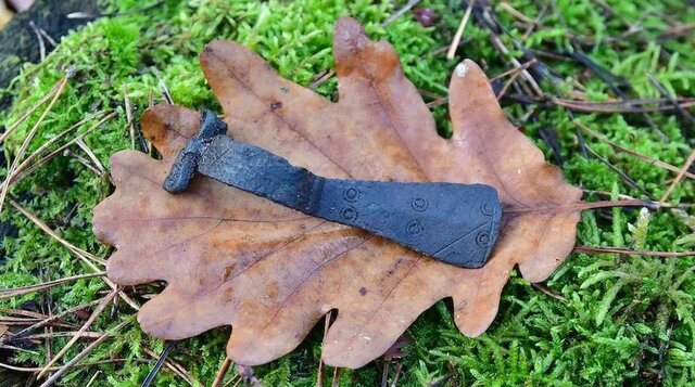 کشف چند تبر و یک سنجاق سینه عتیقه در جنگل