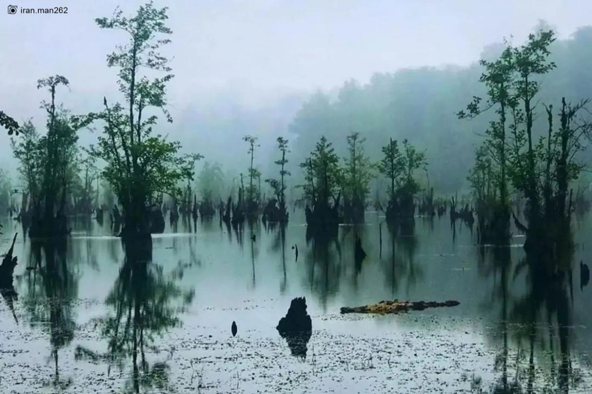 سفر به شهر باران های رگباری