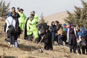 آیین کاشت پنج هزار نهال به یاد کودکان و زنان شهید غزه