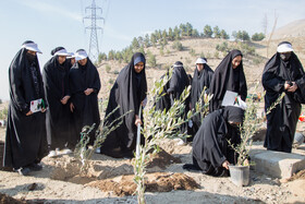 آیین کاشت پنج هزار نهال به یاد کودکان و زنان شهید غزه