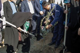 آیین کاشت پنج هزار نهال به یاد کودکان و زنان شهید غزه