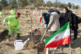 آیین کاشت پنج هزار نهال به یاد کودکان و زنان شهید غزه