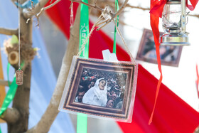 آیین کاشت پنج هزار نهال به یاد کودکان و زنان شهید غزه
