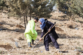 آیین کاشت پنج هزار نهال به یاد کودکان و زنان شهید غزه