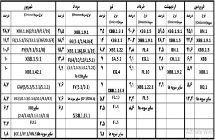 آخرین وضعیت سویههای در گردش کرونا در ایران