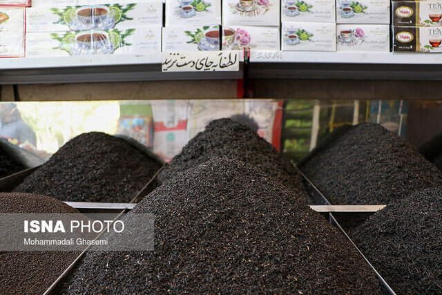 سوداگری، رانت و واردات بیرویه، تهدیدات عرصه تولید چای هستند