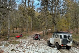 مرداب «دریوک» مازندران