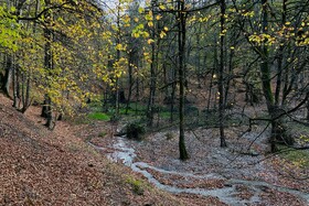مرداب «دریوک» مازندران