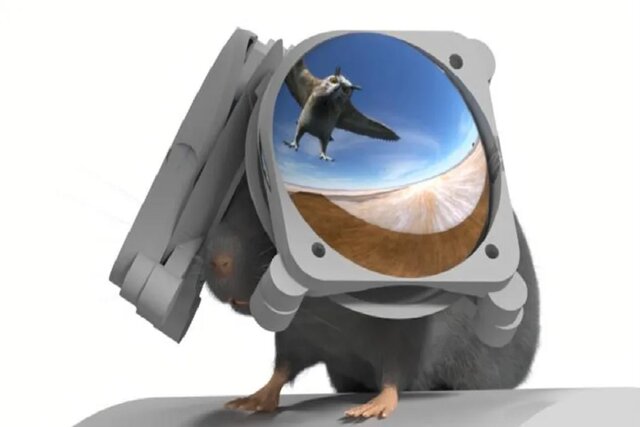 ساخت عینک ۳ بعدی برای موشها! ساخت عینک ۳ بعدی برای موشها!