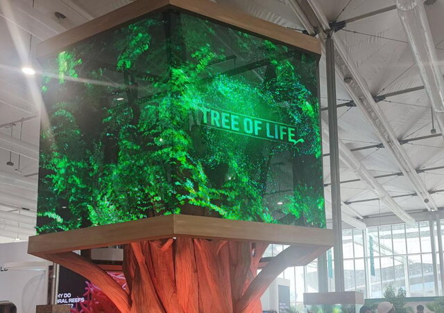 درخت حیات از درخت حیات تا مالیات صفر تولیدکنندگان شیشههای قابل بازیافت