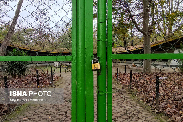 آکواریوم بوستان ملت، غرق در سکوتی پر هیاهو