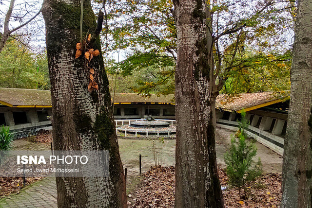 آکواریوم بوستان ملت، غرق در سکوتی پر هیاهو