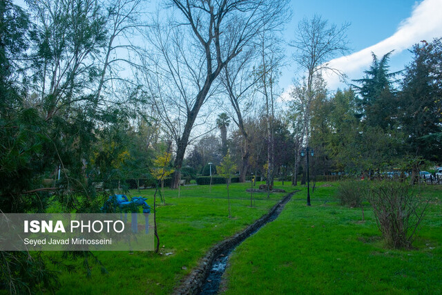 آکواریوم بوستان ملت، غرق در سکوتی پر هیاهو