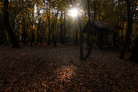 پاییز هزار رنگ در جنگل «النگدره»