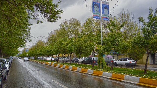 شناسنامه درختان کرمانشاه تهیه می‌شود