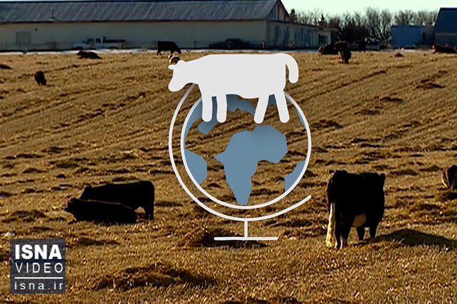 ویدیو/ رابطه مصرف گوشت و گرمایش زمین